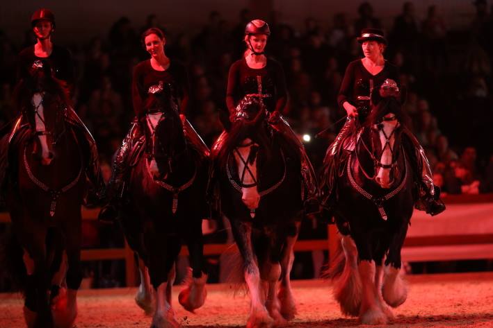 Shire Horse Quadrille 